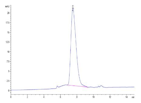 PD-L2/B7-DC, His &amp; Avi, Human