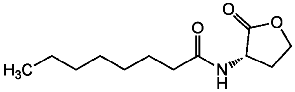 N-Octanoyl-L-homoserine lactone