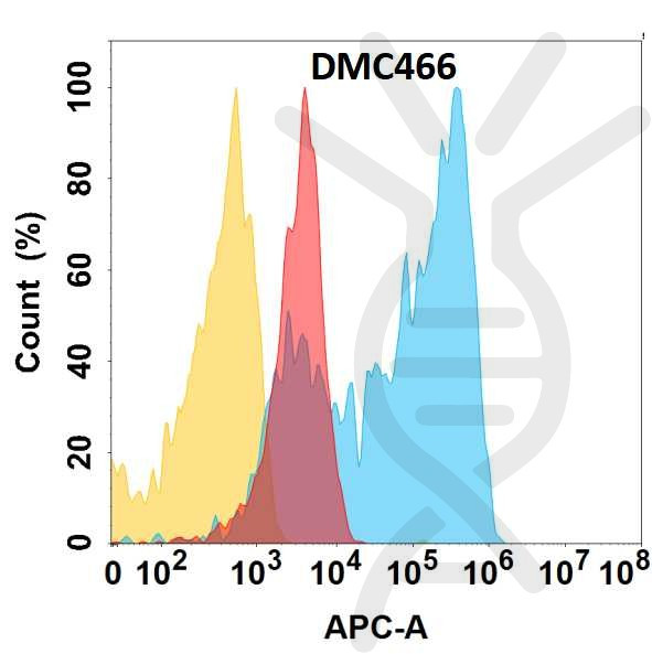 Anti-CSPG4 antibody(DMC466), IgG1 Chimeric mAb