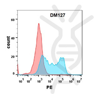 Anti-BAFF-R antibody(DM127), Rabbit mAb