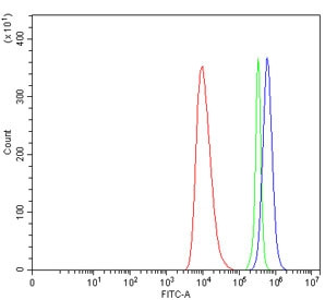 Anti-Interleukin-1 receptor-like 1 / IL1RL1 / ST2