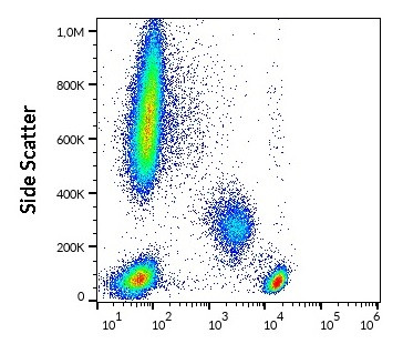 Anti-CD4, clone MEM-241 (PE)