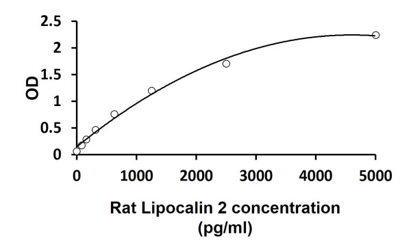 Rat Lipocalin 2 ELISA Kit