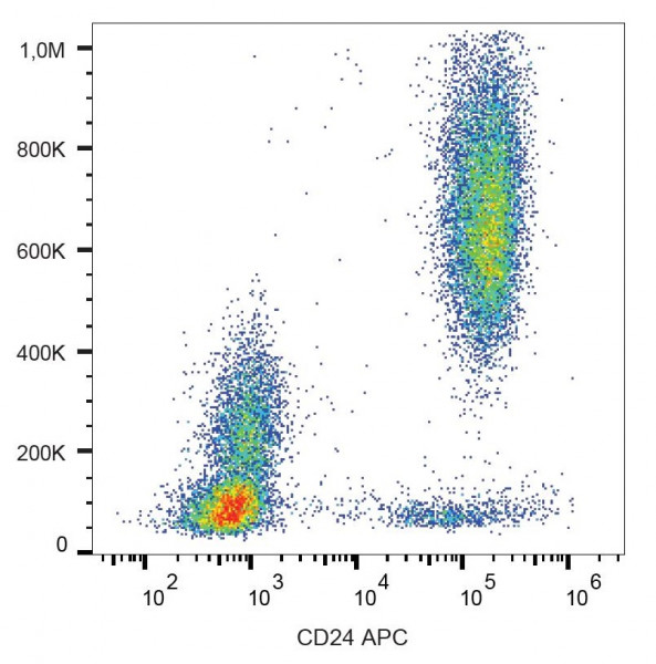 Anti-CD24 (APC), clone SN3