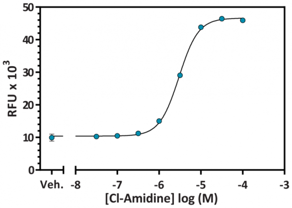 PAD4 Inhibitor Screening Assay Kit (AMC)