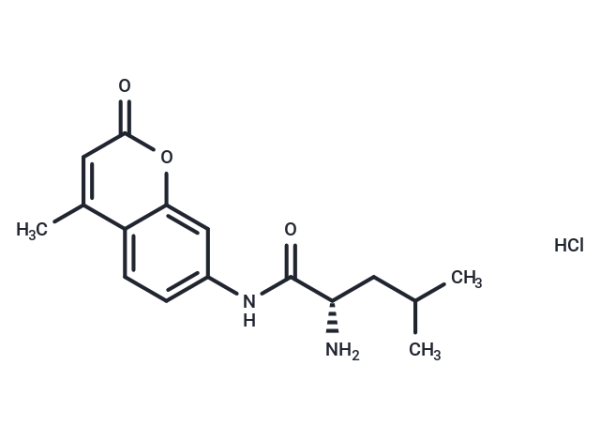 L-Leucine-7-amido-4-methylcoumarin hydrochloride