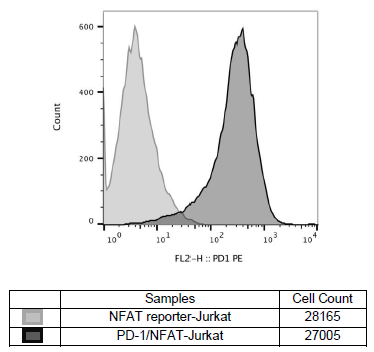 PD-1/NFAT Reporter - Jurkat Recombinant Cell Line