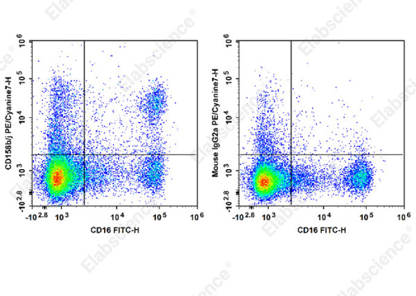 Anti-CD158b/j, clone DX27, PE/Cyanine 7 conjugated