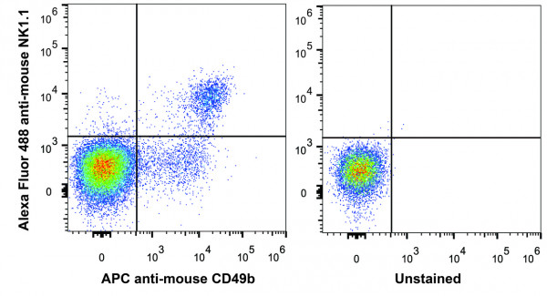 Anti-CD161/NK1.1 (mouse), clone PK136, GenieFluor 488-conjugated