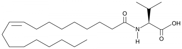 N-Oleoyl Valine