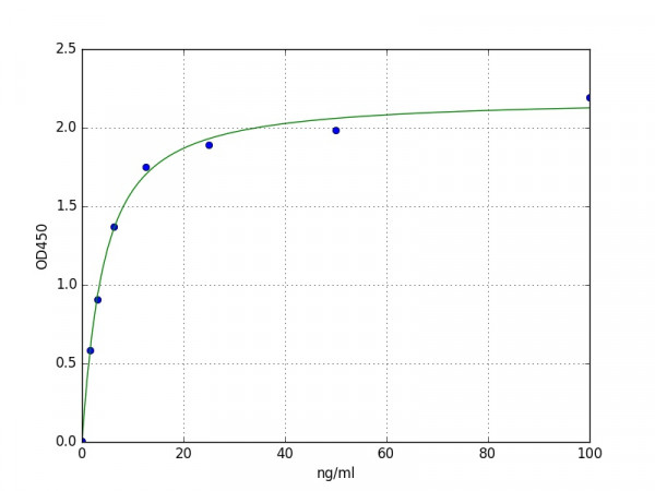 Mouse Succinate Dehydrogenase ELISA Kit