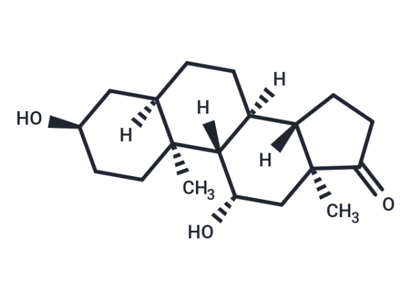 11beta-hydroxy Etiocholanolone