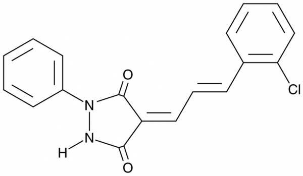 CPYPP