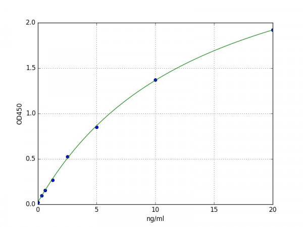 Human PARP2 ELISA Kit