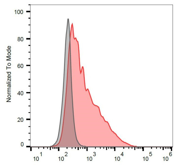 Anti-CD271 / NGFR, clone NGFR5 (PE )