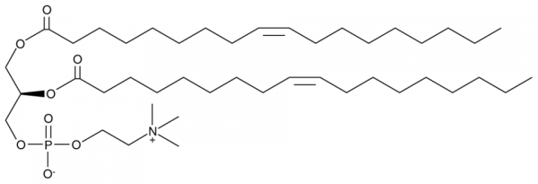 1,2-Dioleoyl-sn-glycero-3-PC