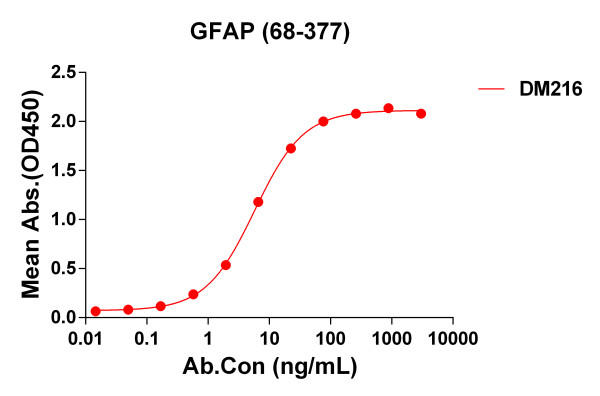 Anti-GFAP(68-377) antibody(DM216), Rabbit mAb