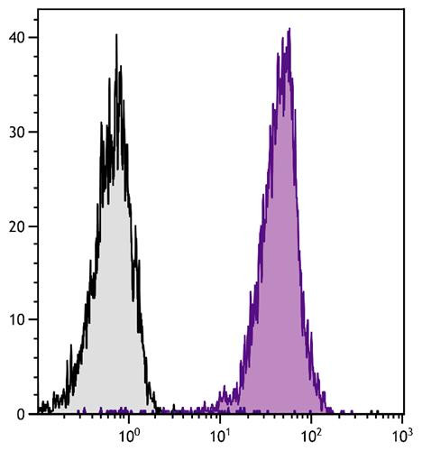 Anti-CD45 (APC/Cy7), clone A20