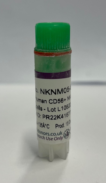 Frozen human CD56+ NK cells - male donor