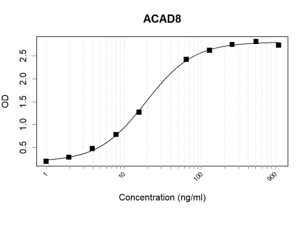 Anti-Human ACAD8 Antibody Pair