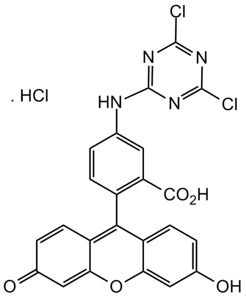 5-DTAF hydrochloride