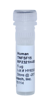 Recombinant Protein (TL1A), tnfsf15 human (htnTNFSF15)
