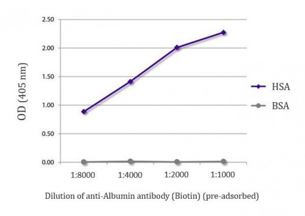 Anti-Albumin (Biotin), pre-adsorbed