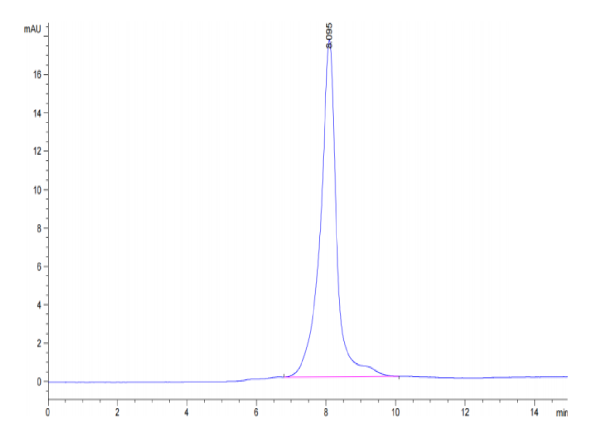 Human CA9/Carbonic Anhydrase IX Protein