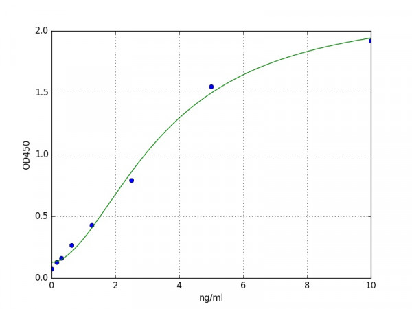 Rabbit TIMP1/Metalloproteinase inhibitor 1 ELISA Kit