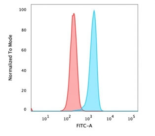 Anti-Beta Catenin Antibody, clone rCTNNB1/1507