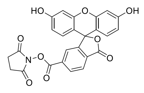 6-FAM SE