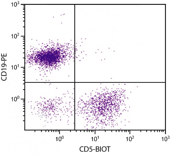 Anti-CD5 (Biotin), clone 53-7.3