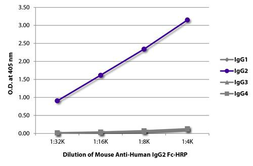 Anti-Human IgG2 Fc [31-7-4] (HRP) [Mouse]