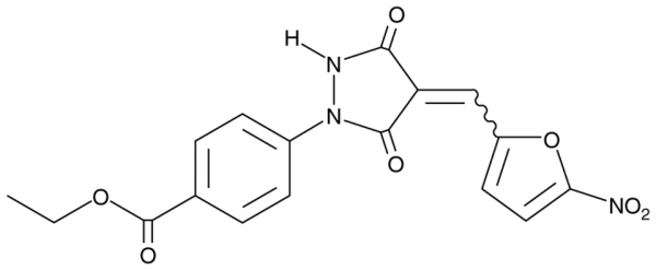 PYR41