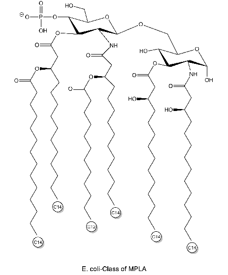 Monophosphoryl Lipid A [MPLA] from E. coli R515 (Re) TLRpure Sterile Solution