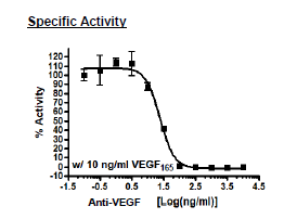 Anti-VEGF Neutralizing Antibody