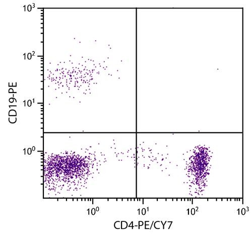 Anti-CD4 (PE-Cy7), clone RFT4