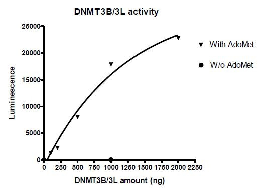 DNMT3B Assay kit