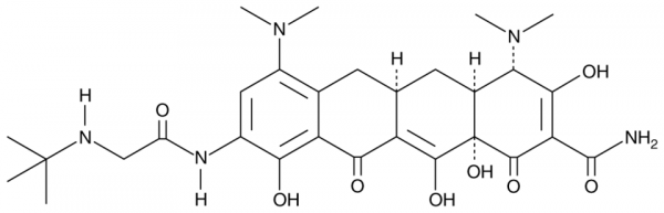 Tigecycline