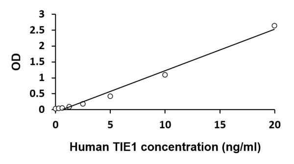 Human TIE1 ELISA Kit