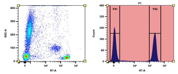 Buccutite(TM) Rapid APC-iFluor(R) 750 Tandem Antibody Labeling Kit *Microscale Optimized for Labelin