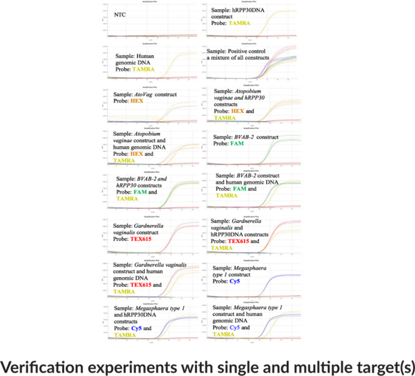 Bacterial Vaginosis Primary (QuantStudio) Multiplexed qPCR Assay