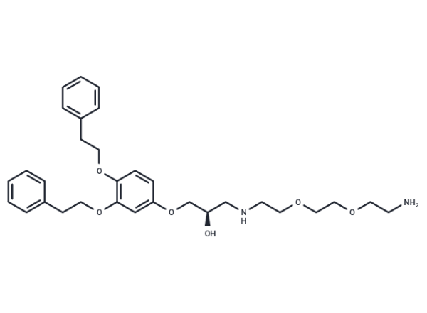 p62-ZZ Ligand-Linker Conjugate 1