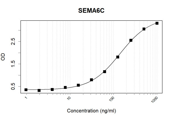 Anti-Human SEMA6C Antibody Pair