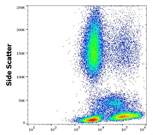 Anti-CD81 (low endotoxin), clone M38