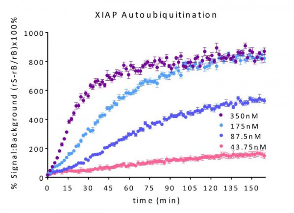 XIAP E3 Ligase TR-FRET Kit