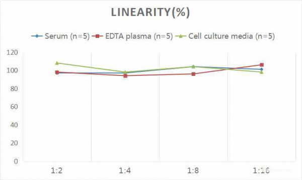 Rat GDNF (Glial Cell Line Derived Neurotrophic Factor) CLIA Kit