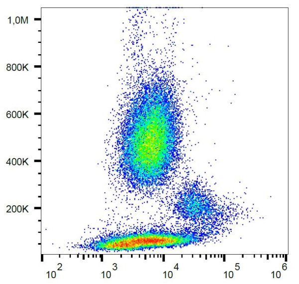 Anti-CD54, clone 1H4 (APC)