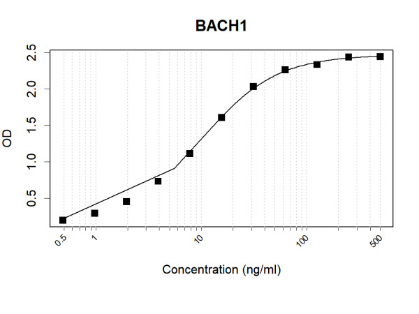 BACH1 (human) Antibody Pair