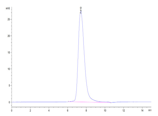 Human CD200/OX-2 Protein